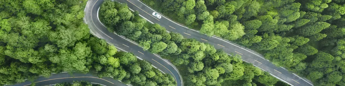 Luftaufnahme einer kurvigen Straße, die durch eine sommerliche Waldlandschaft führt