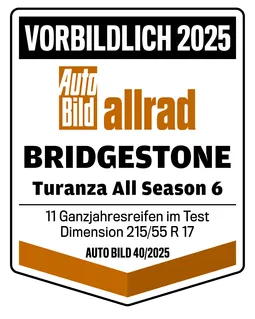  BRIDGESTONE Turanza All Season 6 225/50 R17 98 V
