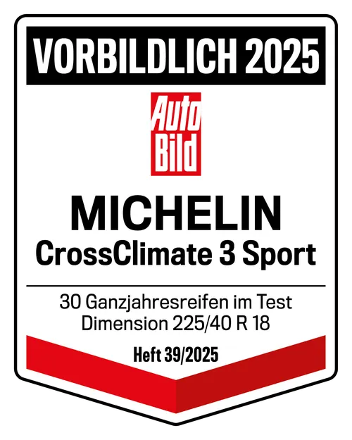  MICHELIN CROSSCLIMATE 3 SP 295/35 R21 107 Y