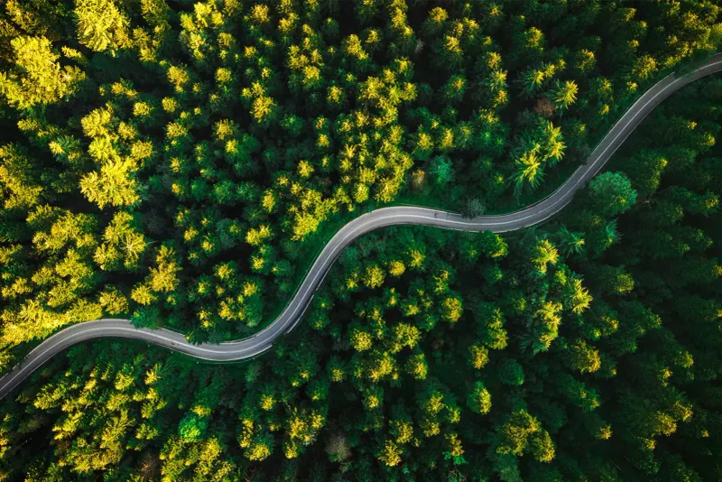 Geschwungene Straße durch grünen Wald aus der Vogelperspektive