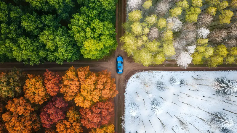 Auto aus der Vogelperspektive zwischen vier Waldflächen mit unterschiedlichen Jahreszeiten